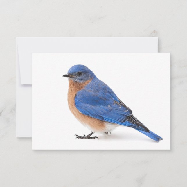 Invitación Bluebird (Anverso)
