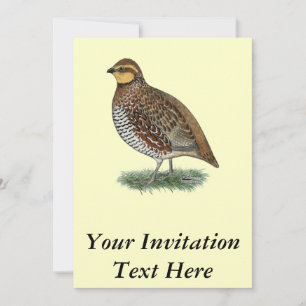 Invitación Bobwhite Quail Hen