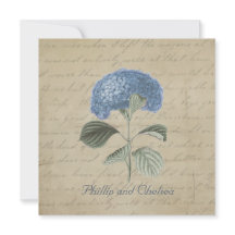 Boda azul del Hydrangea del vintage
