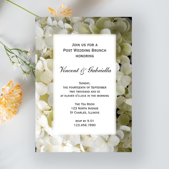 Invitación Boda Brunch de Flor de Hidrangea Blanca Post (Subido por el creador)