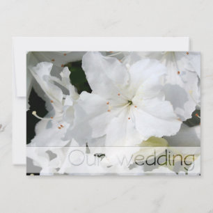 Invitación Boda de Azalea Blanca Save the Date Personalízalo
