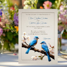 Boda de Bluebirds de primavera