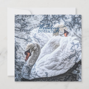 Invitación boda de cisne blanco de invierno romántico