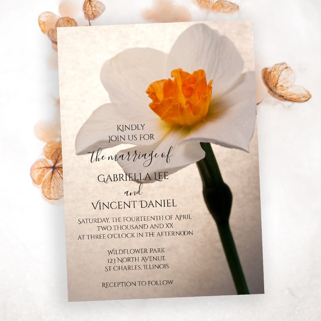 Invitación Boda de Daffodil Primavera Blanca (Subido por el creador)