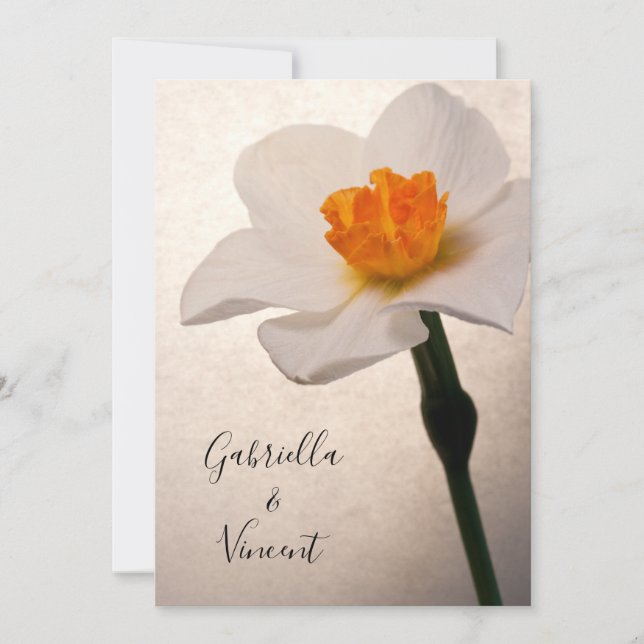 Invitación Boda de flor de Daffodil de Primavera Blanca (Anverso)