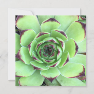 Invitación Boda de Foto de Suculenta Verde y Púrpura Oscuro