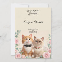 Boda de Gato 3D Lindo Novia y Novio Crema