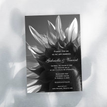 Boda de girasol en el jardín blanco y negro
