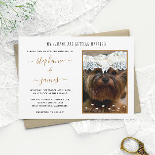 Invitación Boda de Humanos Foto de Mascota Personalizada