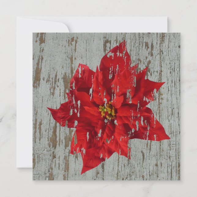 Invitación Boda de invierno de Poinsettia / Navidades (Anverso)