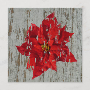 Invitación Boda de invierno de Poinsettia / Navidades