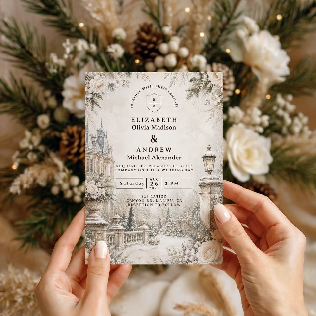 Invitación Boda de invierno elegante y atemporal (Subido por el creador)
