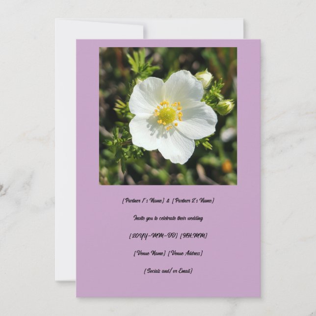 Invitación Boda de la Potentilla Blanca (Anverso)