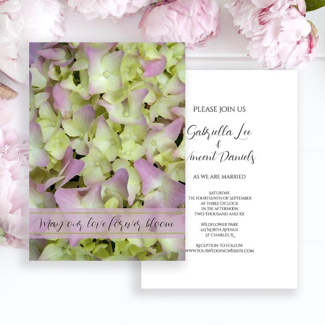 Invitación Boda de las flores de hidrangea casi rosada (Subido por el creador)