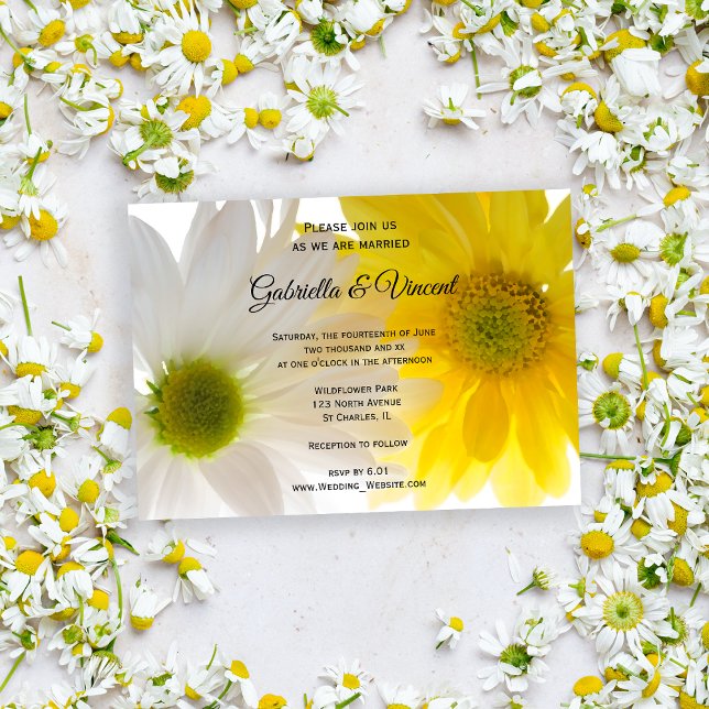 Invitación Boda de margaritas amarillas y blancas (Invite guests to your summery marriage with the pretty Yellow and White Daisies Wedding Invitation.)