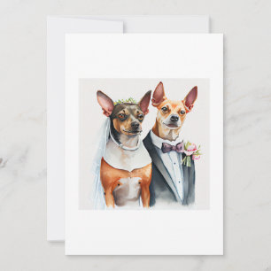 Invitación boda de perro