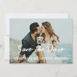 Invitación Boda de perro ahorra el presupuesto de fecha