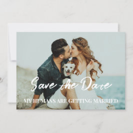 Invitación Boda de perro ahorra el presupuesto de fecha