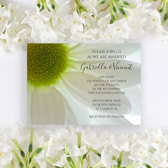 Invitación Boda de Petales de Flor de margarita blanca (Invite guests to your summer marriage ceremony with the pretty White Daisy Petals Wedding Invitation)