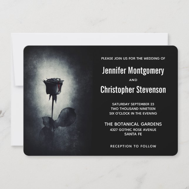 Invitación Boda de Pétalo de Rosa Negra Moderna que Gotea San (Anverso)