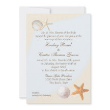 Boda de Shell Beach Sea Shore