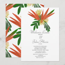 Boda de Tinta Tropic Aquarela Ave del Paraíso