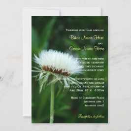 Invitación Boda de verano de la planta blanca esponjosa