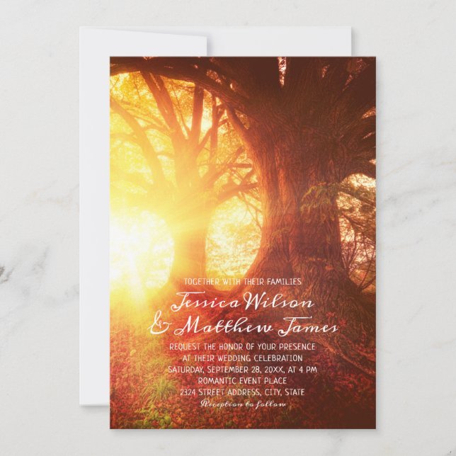 Invitación Boda de verano del árbol de atardecer de los bosqu (Anverso)