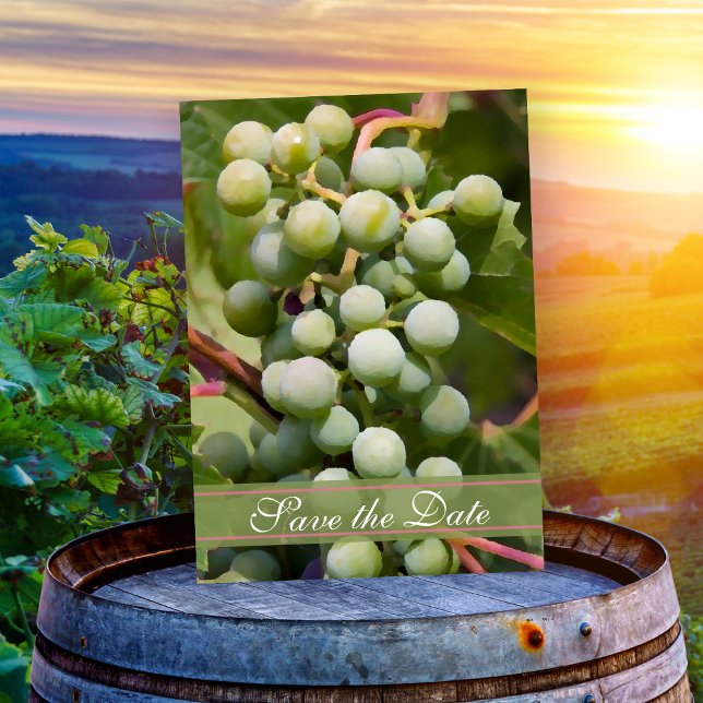 Invitación Boda de viñedos de uvas verdes salva la fecha (Subido por el creador)
