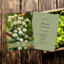 Boda de viñedos Green Grapes Vineyard