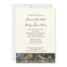 Boda en el campo de la ardilla de los bosques