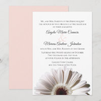 Boda Gerbera blanca Daisy