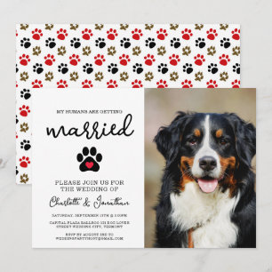 Invitación Boda Mascota simple y moderno de fotografía de per