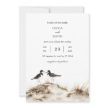 Boda Minimal Beach Sand Dunes Oystercatchers