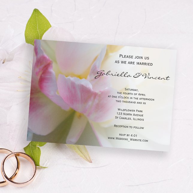 Invitación Boda Primavera de la flor de tulipano blanco rosa (Subido por el creador)