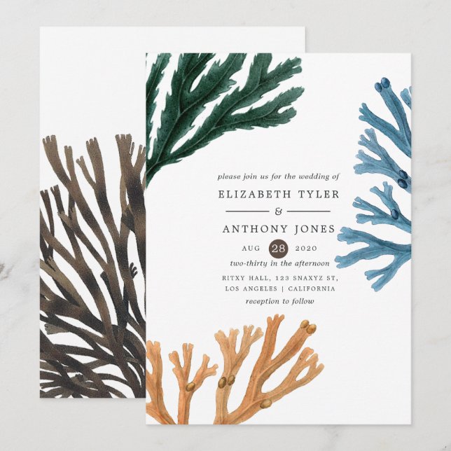 Invitación Boda Temático De La Playa De Las Algas De Agua (Anverso / Reverso)