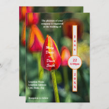 Boda texturizada de Tulip Garden