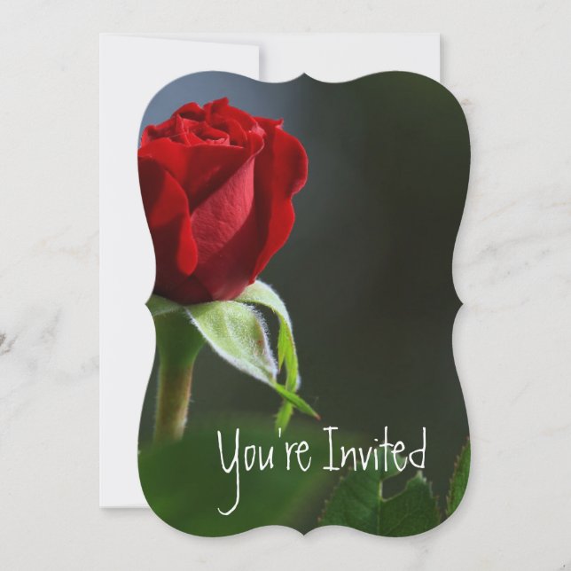Invitación Bodas 15º Aniversario Rosas Jardín Flor (Anverso)