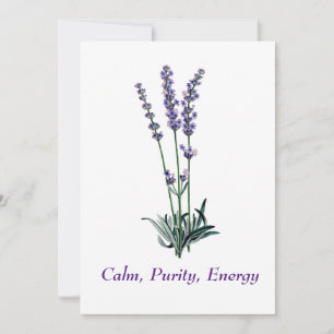 Invitación Bolsa de tocador de flor de lavanda de época