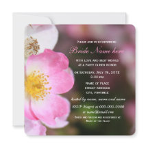 bonito flores rosadas rosadas salvajes ducha de no