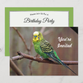 Invitación Bonito Green Parakeet Photo Birday