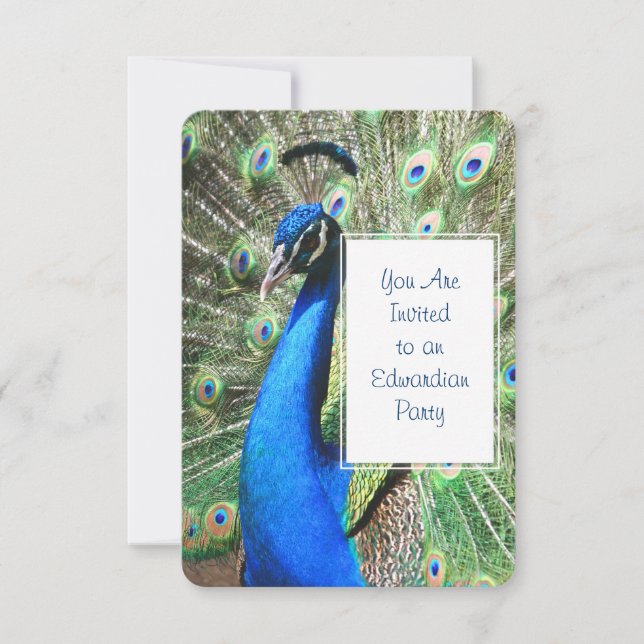 Invitación Bonito Peacock (Anverso)