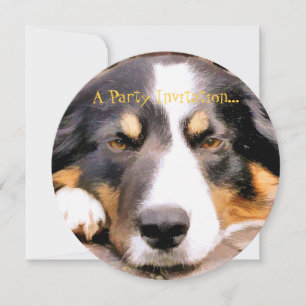 INVITACIÓN BORDER COLLIE