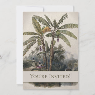 Invitación Bosque Antiguo de Árboles de Plátano Tropical   Bo