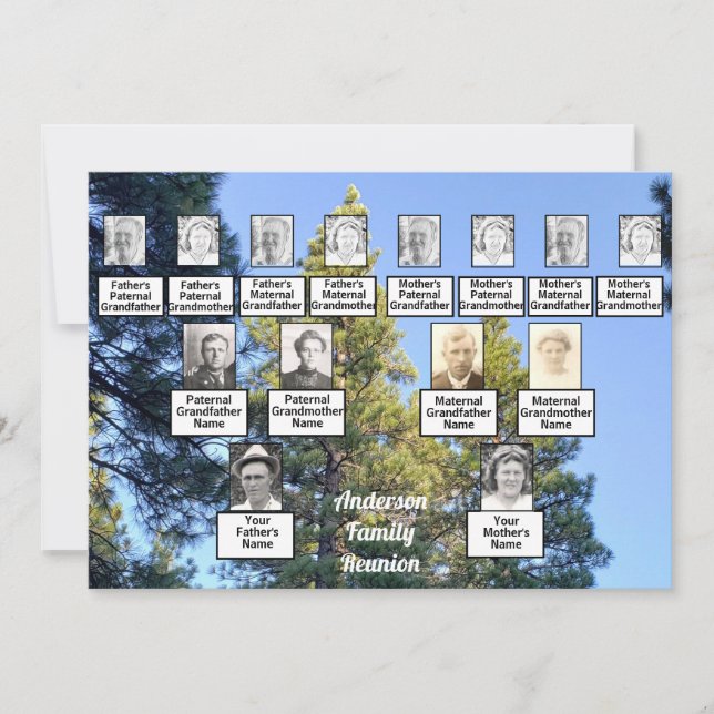 Invitación Bosque de árbol de pino de familia familiar (Anverso)