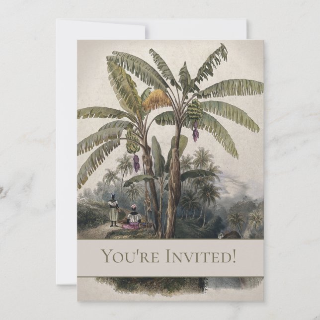 Invitación Bosque de árboles plásticos tropicales antiguos |  (Anverso)