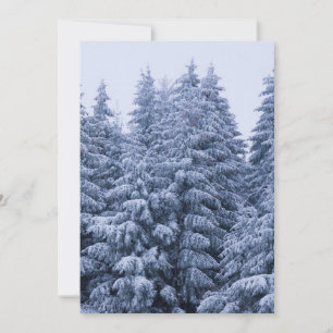 Invitación Bosque de invierno mágico - azul, personalizado