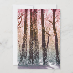 INVITACIÓN  BOSQUE DE NIEVE NATURALEZA