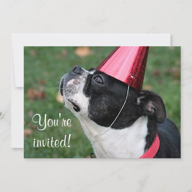 Invitación Boston Terrier (Anverso)