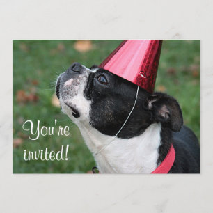 Invitación Boston Terrier